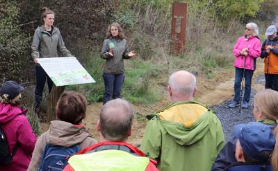 Reduktion der Umweltkosten