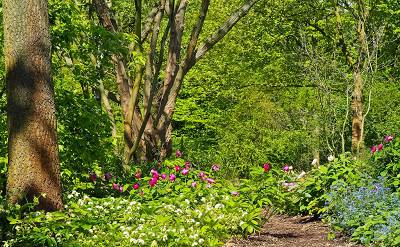 Kompensation unvermeidbarer Umweltkosten