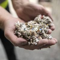 350 Liter Behälter – preiswerte Aktenvernichtung in Schöneiche bei Berlin